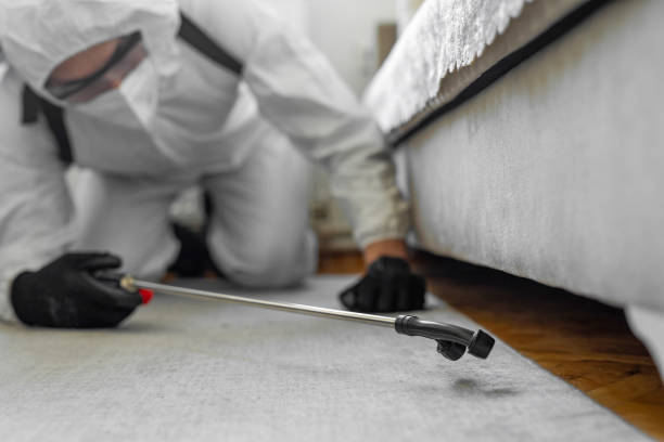 Professional Bed Bug Control technician working in Grand Bay, AL