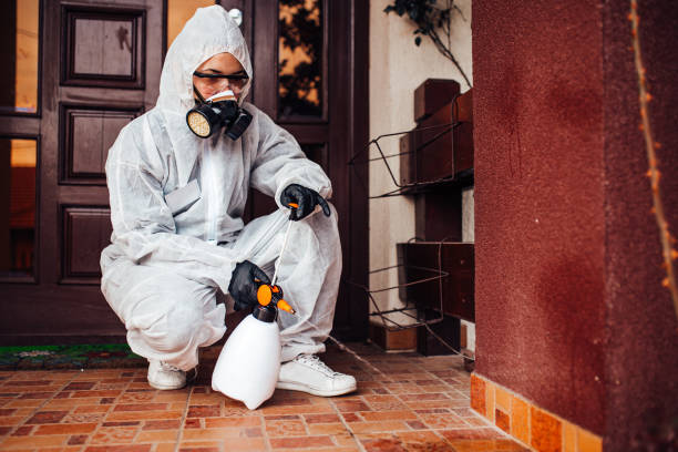 Reliable Bed Bug Control contractor in Grand Bay, AL by Nex Pest Control