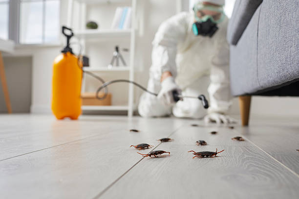 Trusted Fumigation Services service in Grand Bay, AL - Nex Pest Control