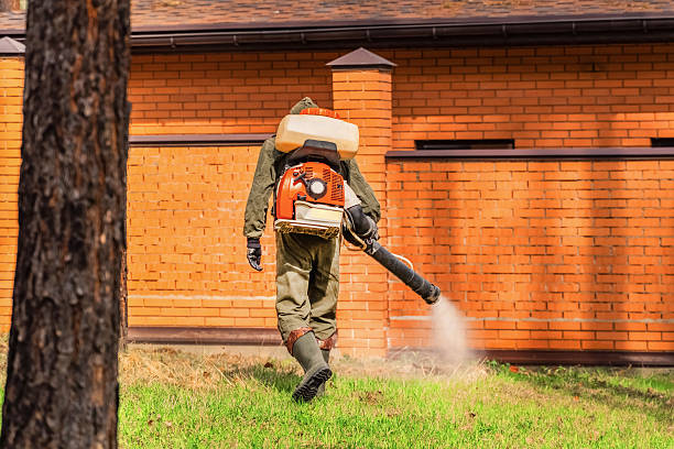 Trusted Emergency Pest Control service in Grand Bay, AL - Nex Pest Control